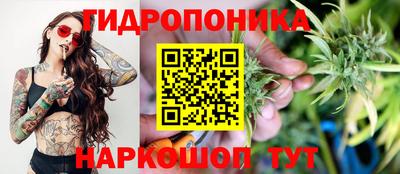 сатива Изобильный