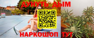спиды Камышлов