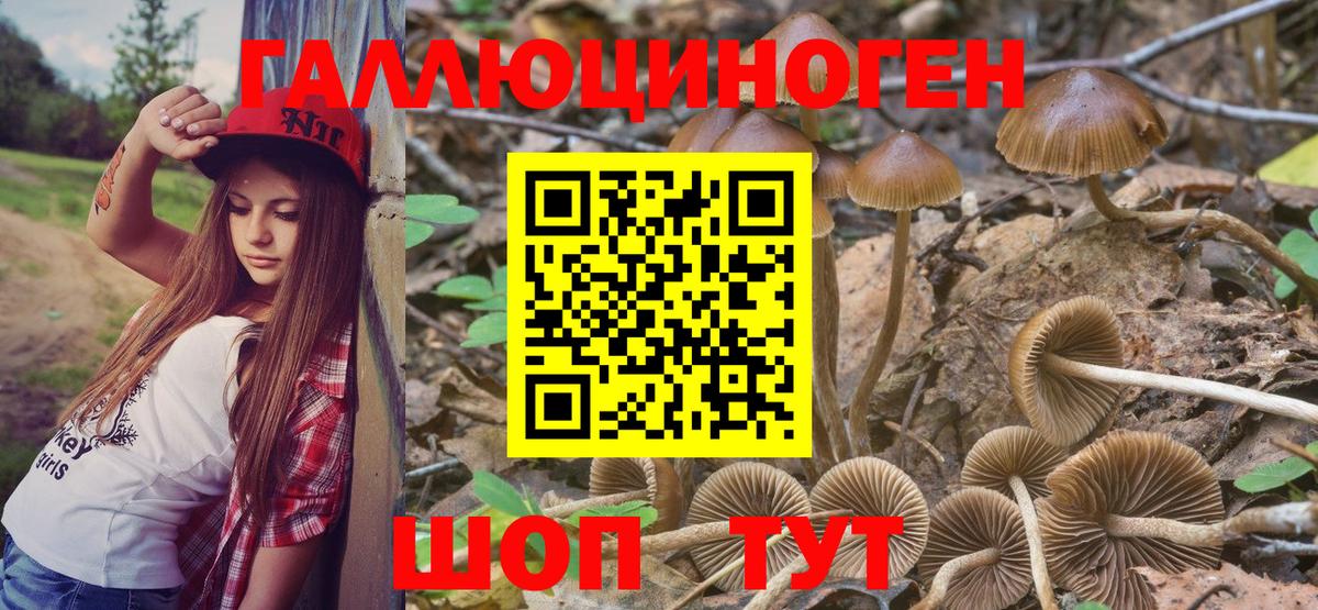 Псилоцибиновые грибы Cubensis  Вход с VPN  Коряжма 